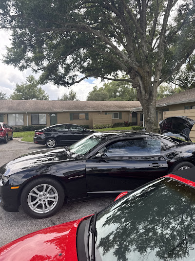 DIY Key Fob Replacement vs. Professional Services