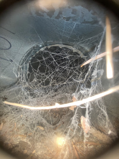 What is involved in professional ductwork cleaning services?