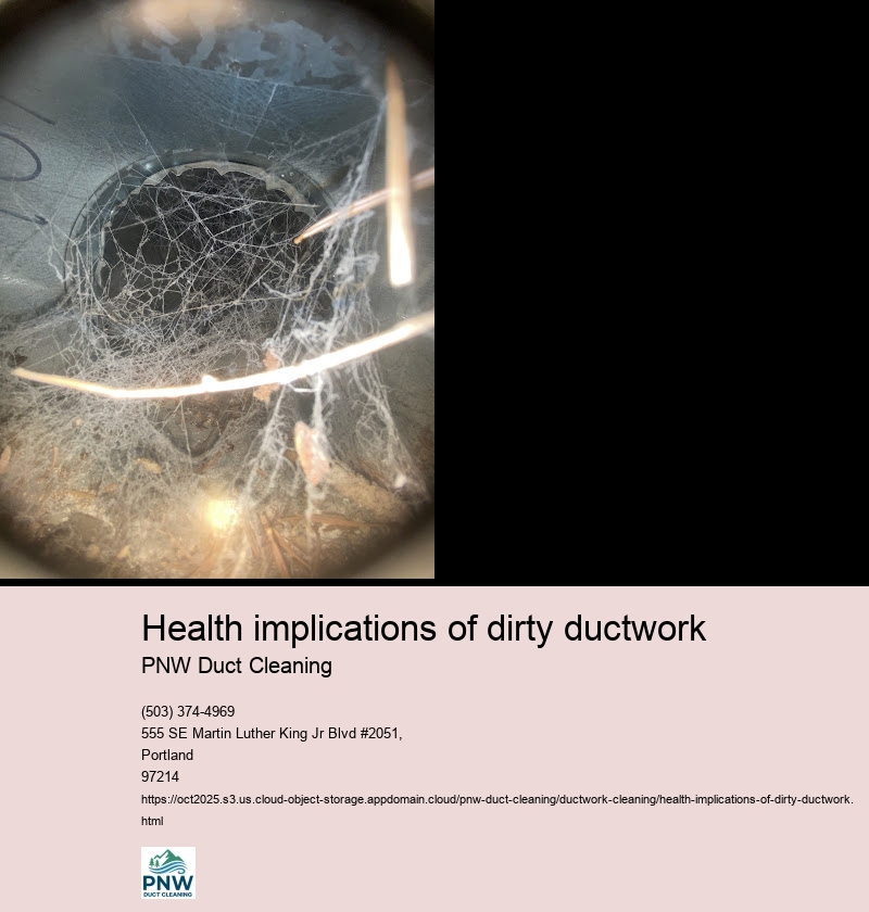 Importance of regular ductwork cleaning