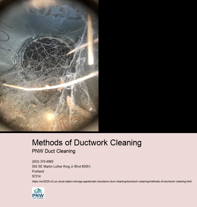 Mechanical Brush Cleaning